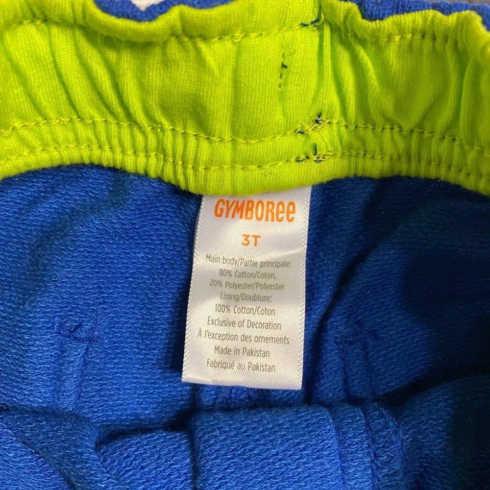 🆕 Gymboree • Stunt Master • Shorts
